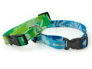 Collare per cani personalizzabile verde e blu, resistente all’usura e perfetto per eventi promozionali, distribuito da AMGS Group.